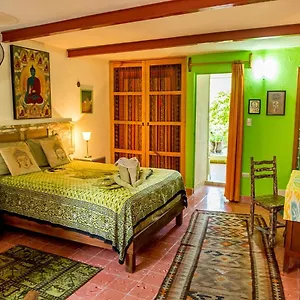 majikal-bnb-casa-de-los-xolos-budha.hotelsmerida.org/